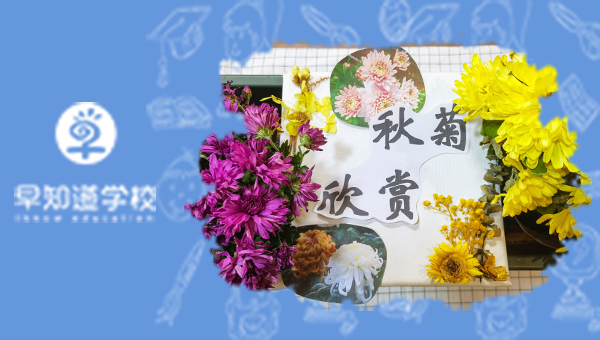 童趣满霜降｜早知道阳光幼儿园霜降节气活动！